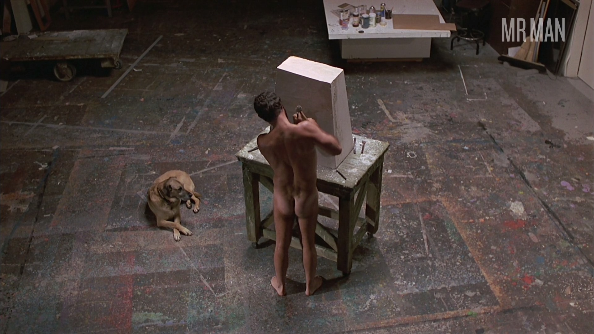 David Fowler from The Man Who Loved Women Naked. Butt, Shirtless, sexy, straight. 7205
