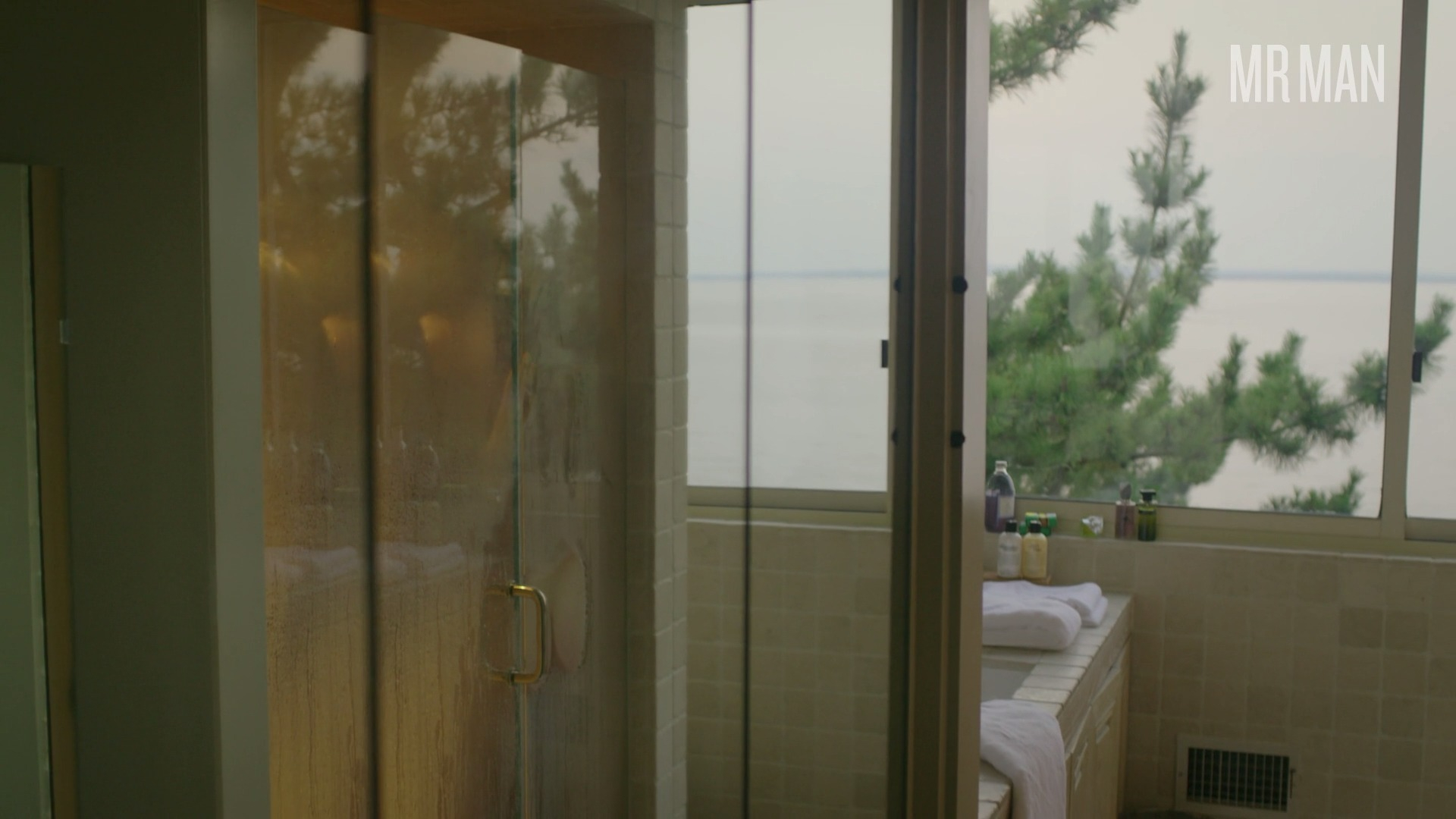 Jason Biggs Naked as Larry Bloom. Butt, Sexy, Straight, shirtless. 37005