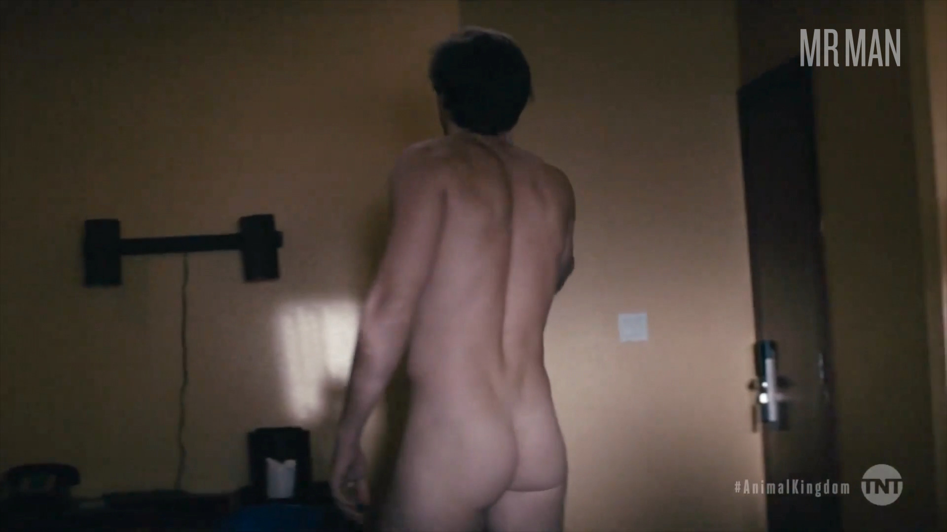 Anthony Konechny Nude in Animal Kingdom. Butt, Sexy, Shirtless, Straight. 73444
