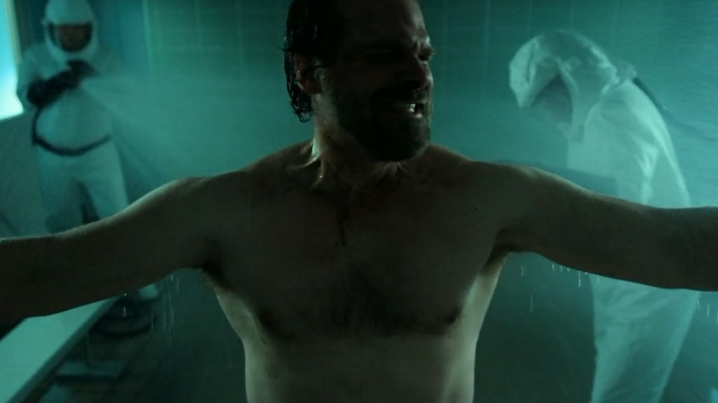 David Harbour in Stranger Things (2016-2025)