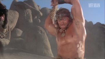 Arnold Schwarzenegger in Conan the Destroyer (1984) Sexy Shirtless Sexy Shirtless 29453
