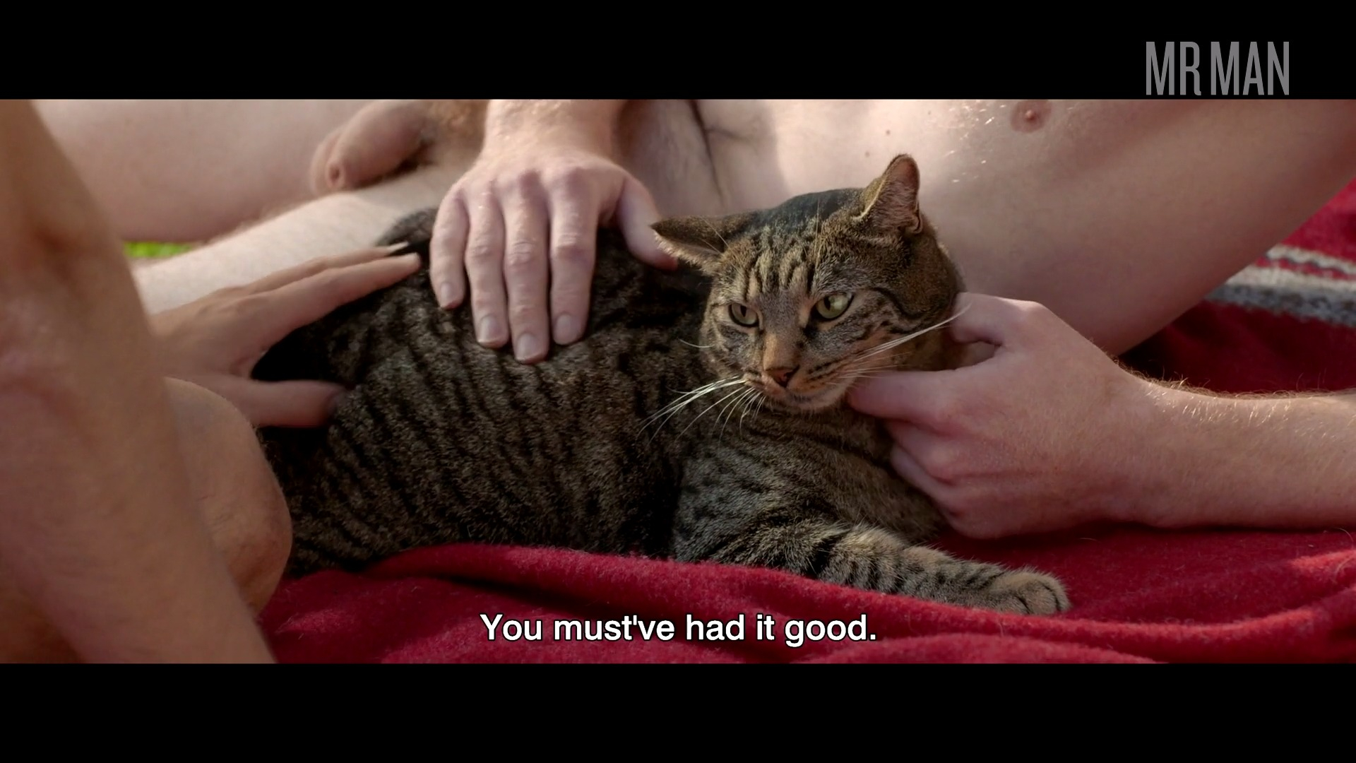 Lukas Turtur Nude as Stefan. Gay, Shirtless, Balls, Penis, butt, butthole. 53522