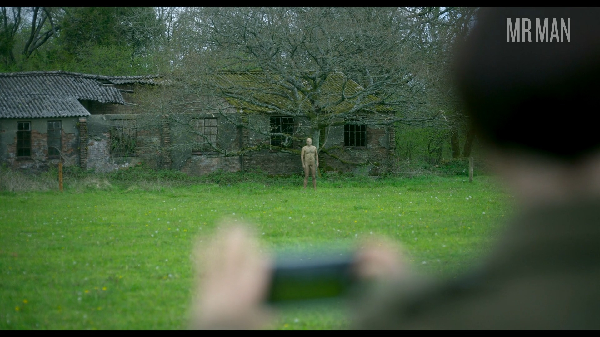 Rory Kinnear Nude as Geoffrey. Penis, Shirtless, balls, butt. 73622
