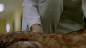 Judah Lewis in Suitable Flesh (2023) Butt Butt Shirtless 77345