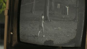 Miles Teller in The Gorge (2025) Butt Shirtless Butt Shirtless 81070