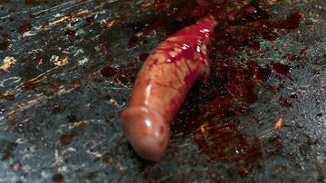 Peter Romano in Screamboat (2025) Penis Prosthetic Straight Penis Prosthetic 82354