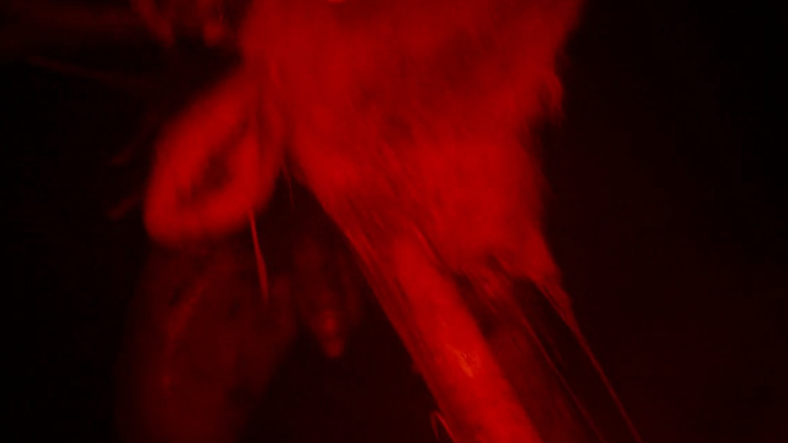 Nudes of Samson from 28 Years Later. Penis, Shirtless, Prosthetic, balls, butt. 82410