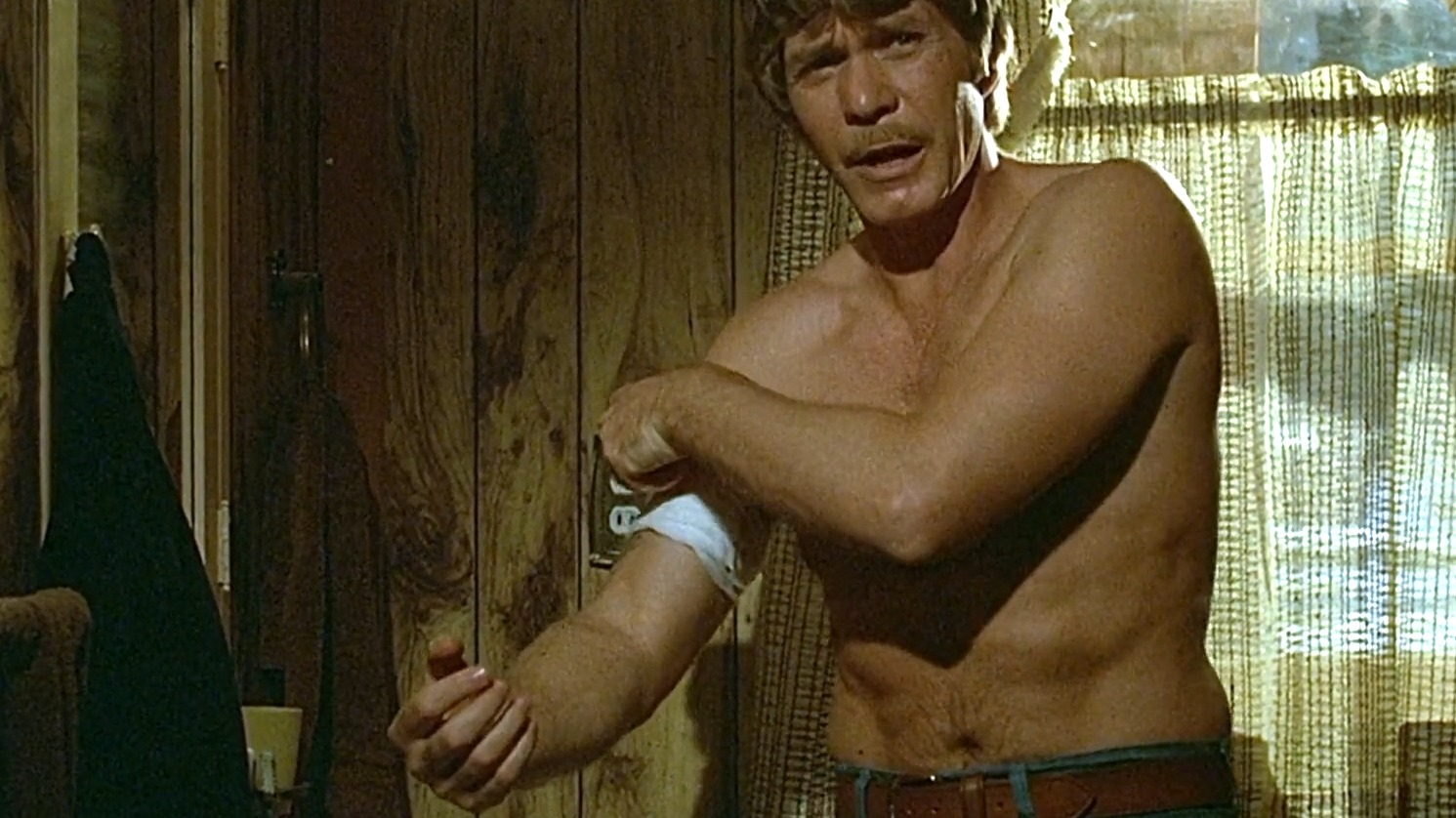 Sexiest Christopher Stone Scene in The Howling. Shirtless, Straight, butt, sexy. 82717