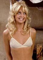 Goldie Hawn Bikini Breasts 292339
