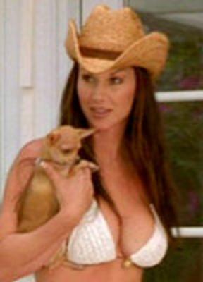 Debbe Dunning Bikini Sexy 226275