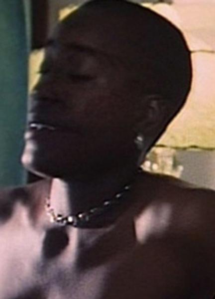 Cheryl Dunye Nude 288904