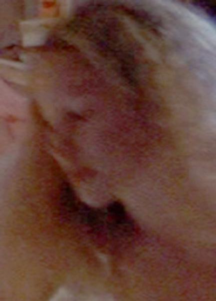 Lorraine Pilkington Nude Scenes 253563