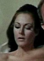 Toian Matchinga Breasts Bush 288661