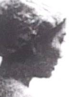 Suzen Murakoshi Breasts Bush 258336