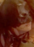 Laura Ilica Breasts Bush 248682