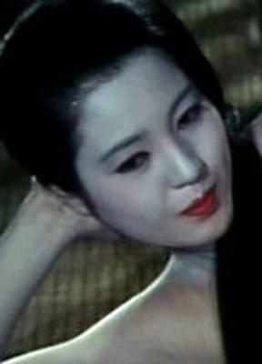 Kanako Higuchi Breasts Bush 249360