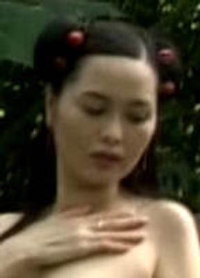 Ka Yu Chow Breasts 232641