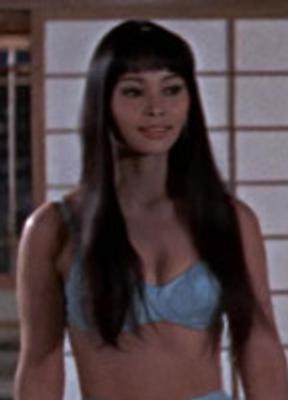Akiko Wakabayashi Hot Scenes 292370