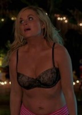 Amy Poehler Bikini Sexy 226794