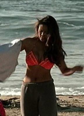 Karrine Steffans Bikini 286932