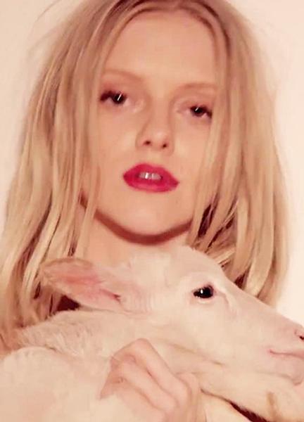 Elle Evans Naked 238542