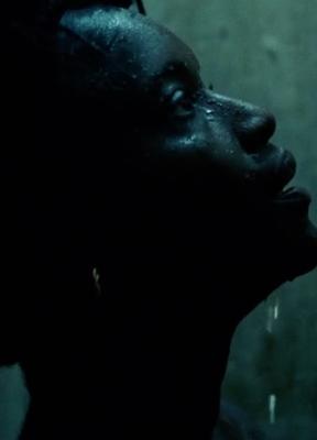 Fatou N'Diaye Nude 282008