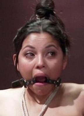 Adrianna Luna Porn Star Breasts Bush 255564