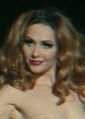 Gypsy Wood Breasts Bush 291602