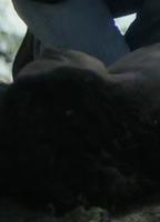 Sabrina Nijma Slimani Butt Sexy 292330