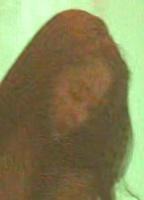 Hoang Nghi Nguen Breasts Butt 292349