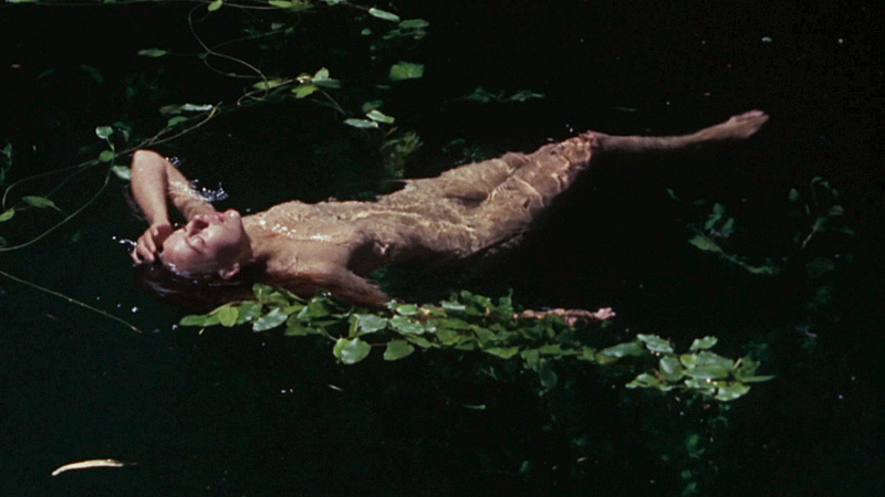 Jenny Agutter Nude in Walkabout. Breasts, Bush, breasts underwater, bush underwater. 684940
