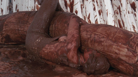 Ann-Margret in Tommy (1975) Sexy Lying In Mud Mud Pit 688757
