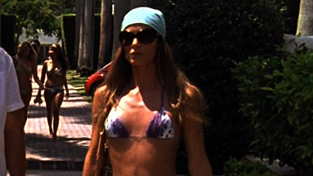 Sexiest Gabrielle Anwar Scene in Burn Notice. Bikini, SFW, abs. 666439