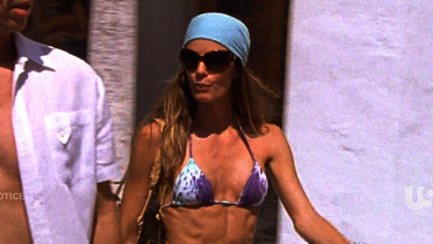 Burn Notice's Sexiest Scenes with Gabrielle Anwar. Bikini, SFW, abs. 666438