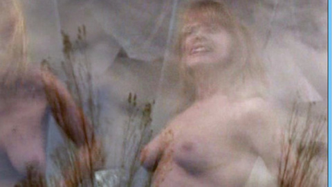 Rosanna Arquette in Floating Away (1998) Breasts Big Breasts Breasts 556715