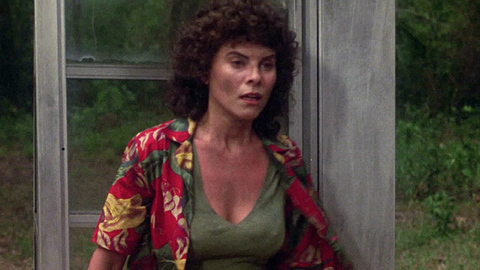 Adrienne Barbeau in Swamp Thing (1982) Sexy Brunette Cleavage 727139