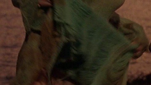 Ellen Barkin Naked in Bad Company. Bush, dress, dusk. 784519