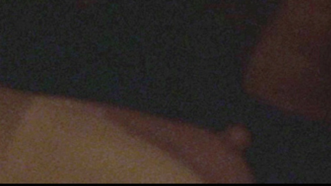 Sandahl Bergman Nude in Conan the Barbarian. Breasts, guy on top, missionary. 699850