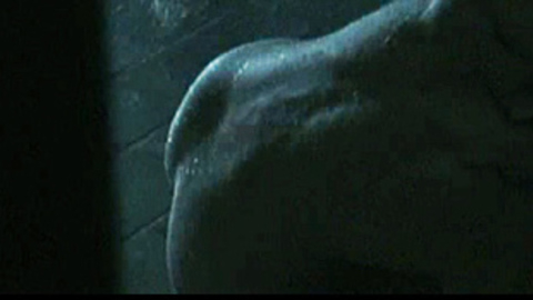 Halle Berry in Gothika (2003) Butt Body Double Body Double Butt 713183