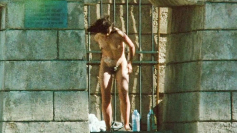 Juliette Binoche Naked in The Lovers on the Bridge. Breasts, Bush, brunette, full frontal. 557821