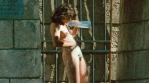 Michèle Stalens from The Lovers on the Bridge Naked. Breasts, Bush, brunette, full frontal. 989645