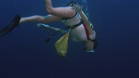 Jacqueline Bisset in The Deep (1977) Sexy Brunette Couple 672645
