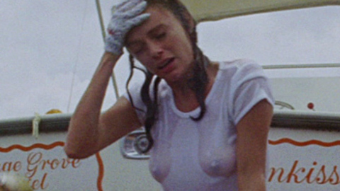 Hottest Jacqueline Bisset Scene in The Deep. Sexy, SFW, brunette. 672644