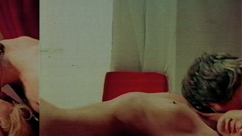 Barbara Nelson from The Rogue Naked. Breasts, Bush, blonde, collage. 567749