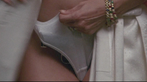 Lorraine Bracco in Goodfellas (1990) Underwear Gun Gun In Panties 692095