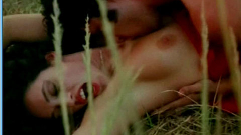 Sonia Braga in Lady on the Bus (1978) Breasts Breasts Kissing Neck 536627