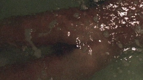 Randi Brooks in Tightrope (1984) Butt Bush Backburger Bush 741633