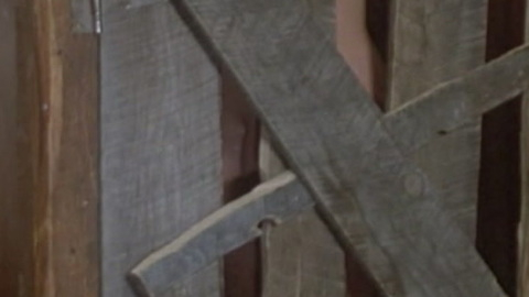 Blair Brown Nude as Nell Porter. Butt, brunette, sexy. 940778