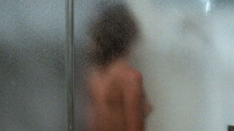 Geneviève Bujold Nude as Doctor Susan Wheeler. Breasts, nude, nude through shower glass. 715232