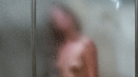 Geneviève Bujold Naked as Doctor Susan Wheeler. Breasts, Bush, nude, nude through shower glass. 715227